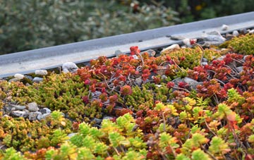 the cost of Baldersby St James green roof installation